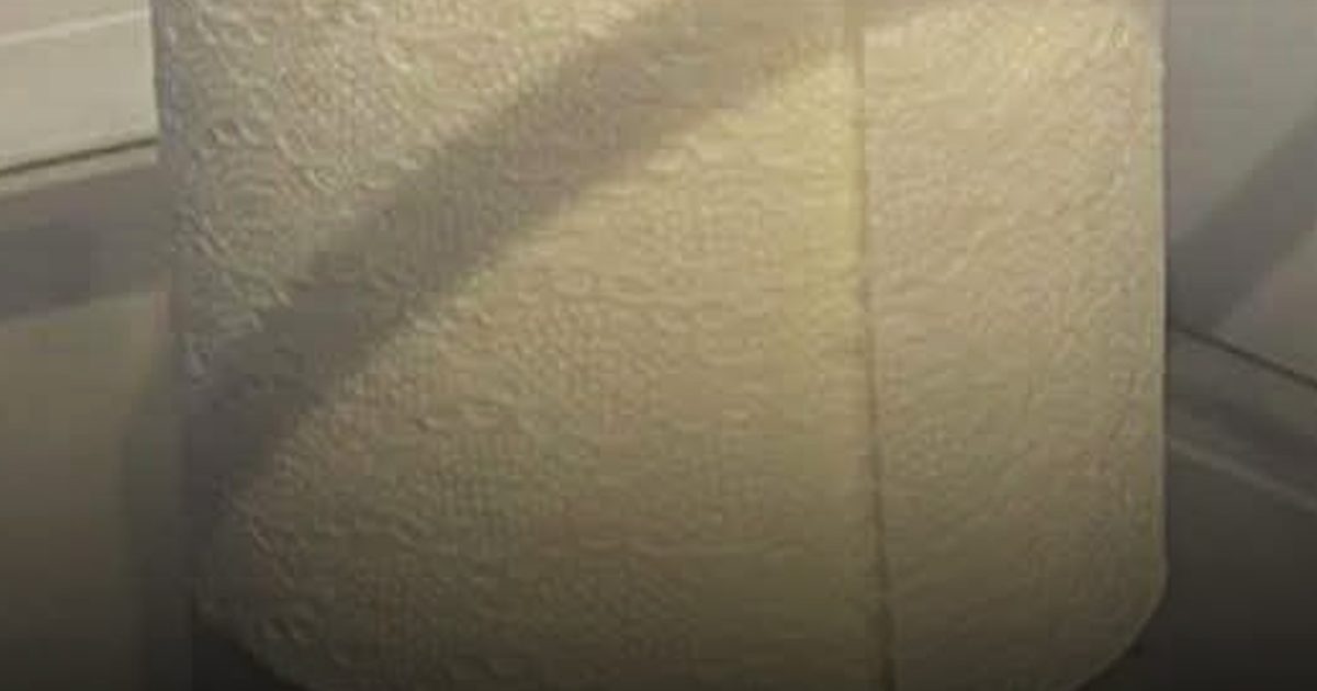 Pourquoi la présence d’un rouleau de papier toilette dans votre réfrigérateur pourrait vouloir dire quelque chose