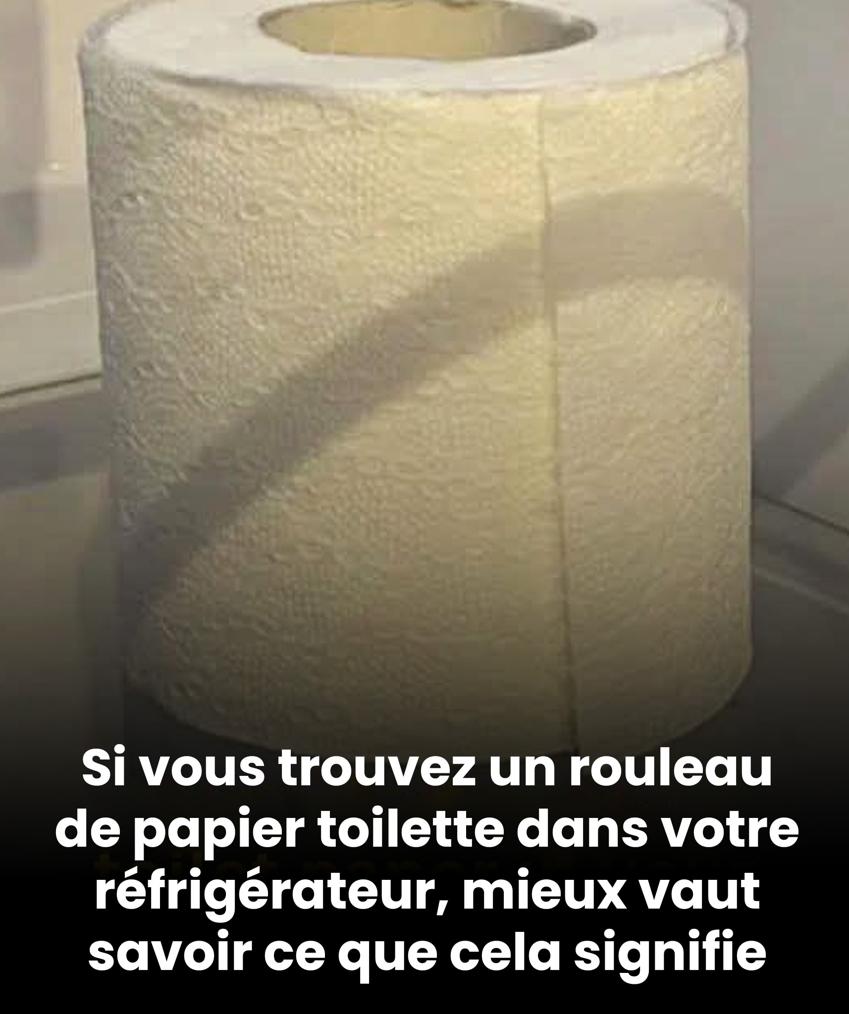 Pourquoi la présence d’un rouleau de papier toilette dans votre réfrigérateur pourrait vouloir dire quelque chose