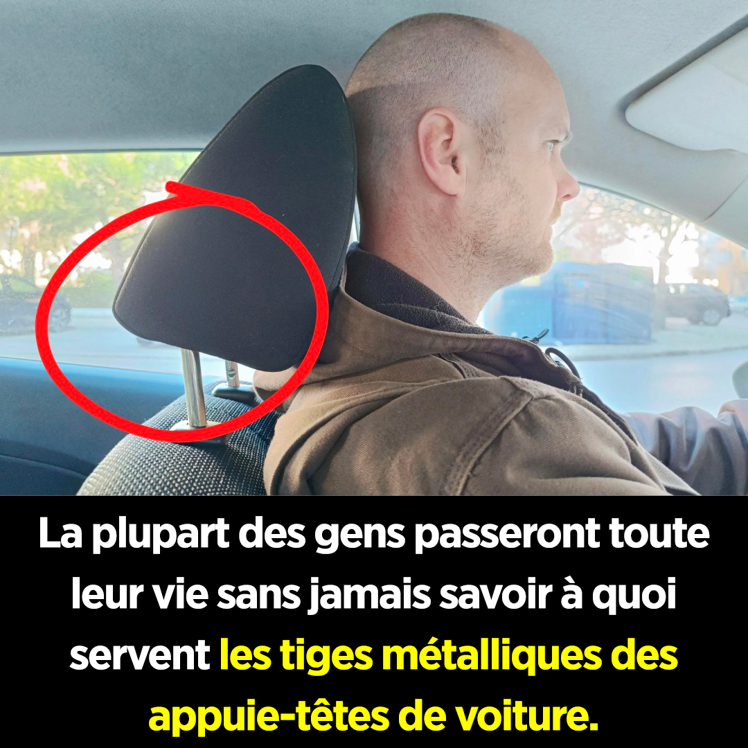 Pourquoi les appuie-têtes des voitures sont-ils équipés de tiges métalliques ? — Un dispositif de sécurité souvent négligé par les conducteurs