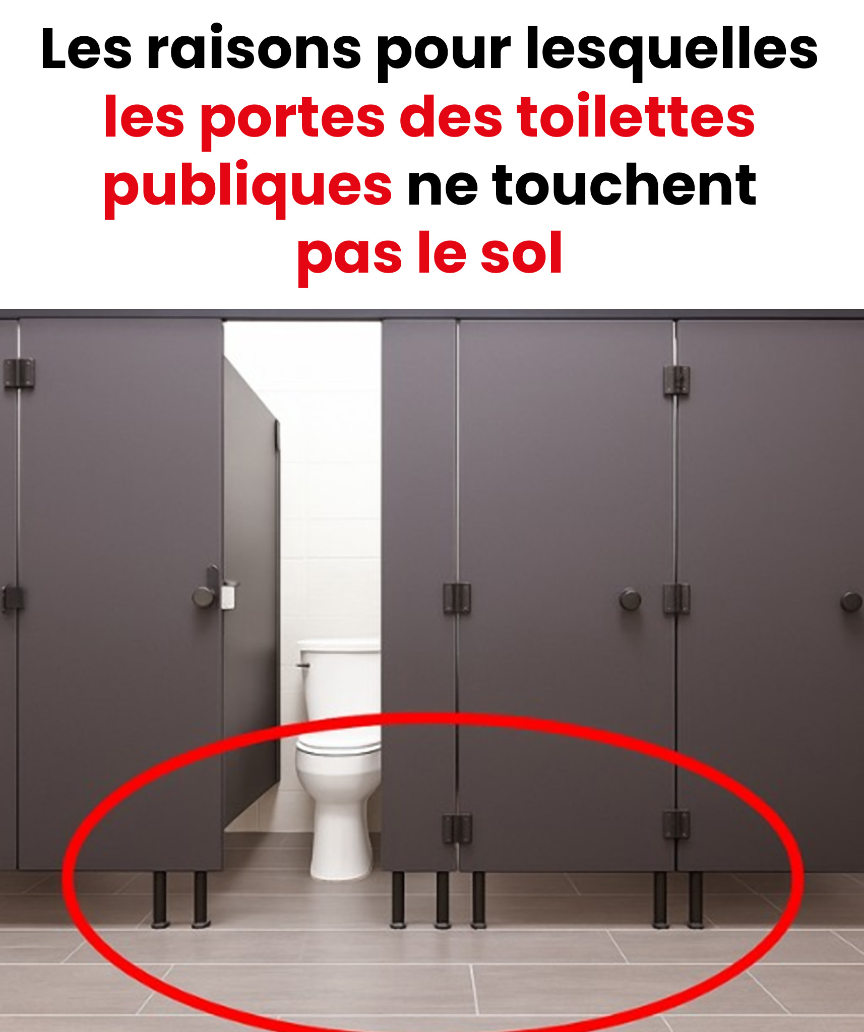 Pourquoi les portes des toilettes publiques ne descendent-elles pas jusqu’au sol ?