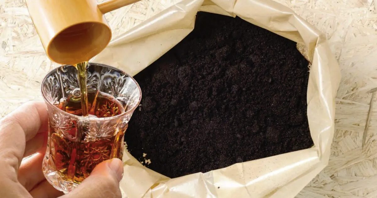 Pourquoi mélanger du café et du vinaigre ?
