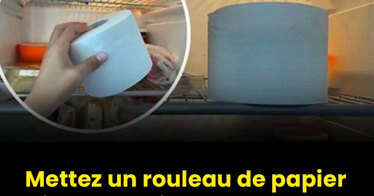 Pourquoi mettre un rouleau de papier toilette au frigo ?