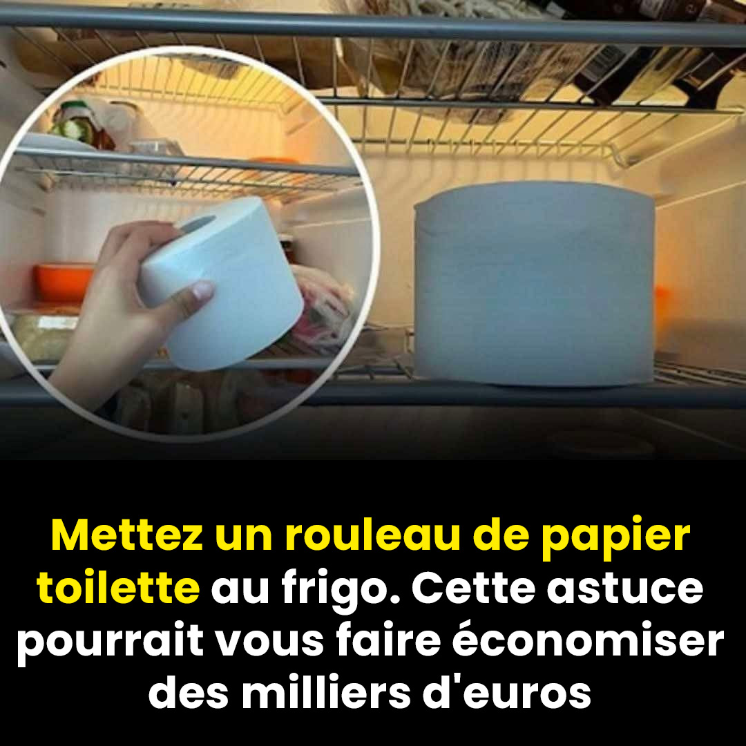 Pourquoi mettre un rouleau de papier toilette au frigo ?