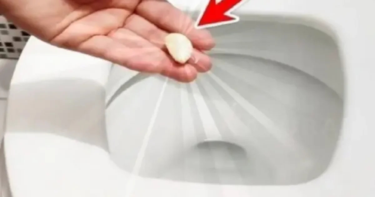 Pourquoi mettre une gousse d’ail aux toilettes ?