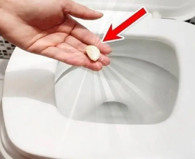 Pourquoi mettre une gousse d’ail aux toilettes ?