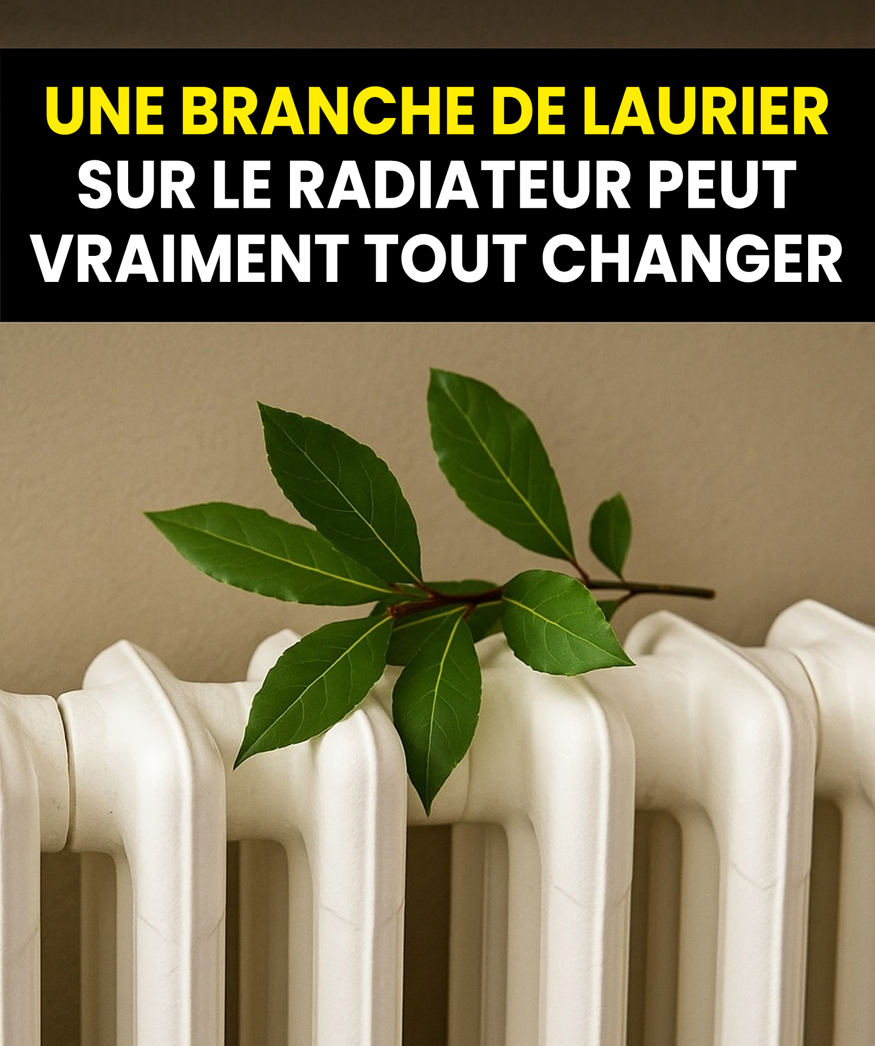 Pourquoi tant de personnes déposent des feuilles de laurier sur leurs radiateurs — la raison va vous surprendre