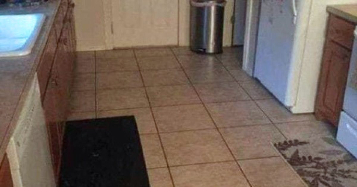 Pouvez-vous repérer le gros chien caché dans cette cuisine ?