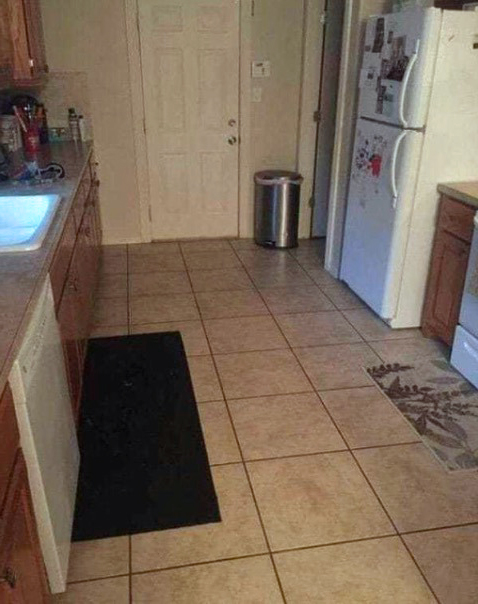 Pouvez-vous repérer le gros chien caché dans cette cuisine ?