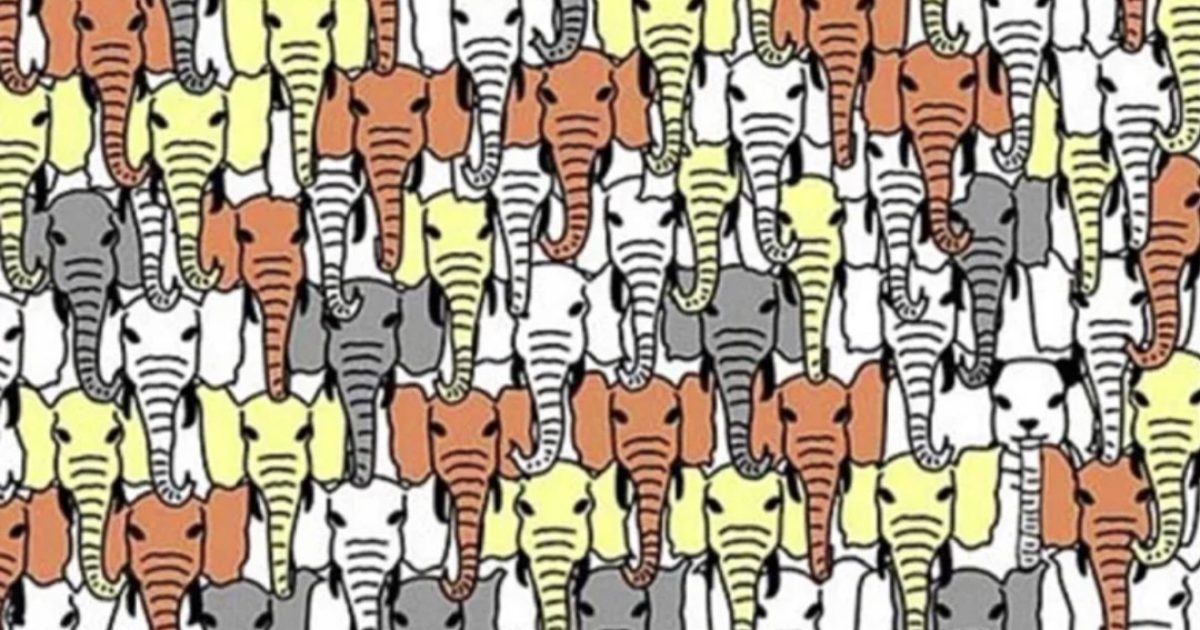 Pouvez-vous repérer le panda caché parmi les éléphants ? Essayez ce casse-tête viral !
