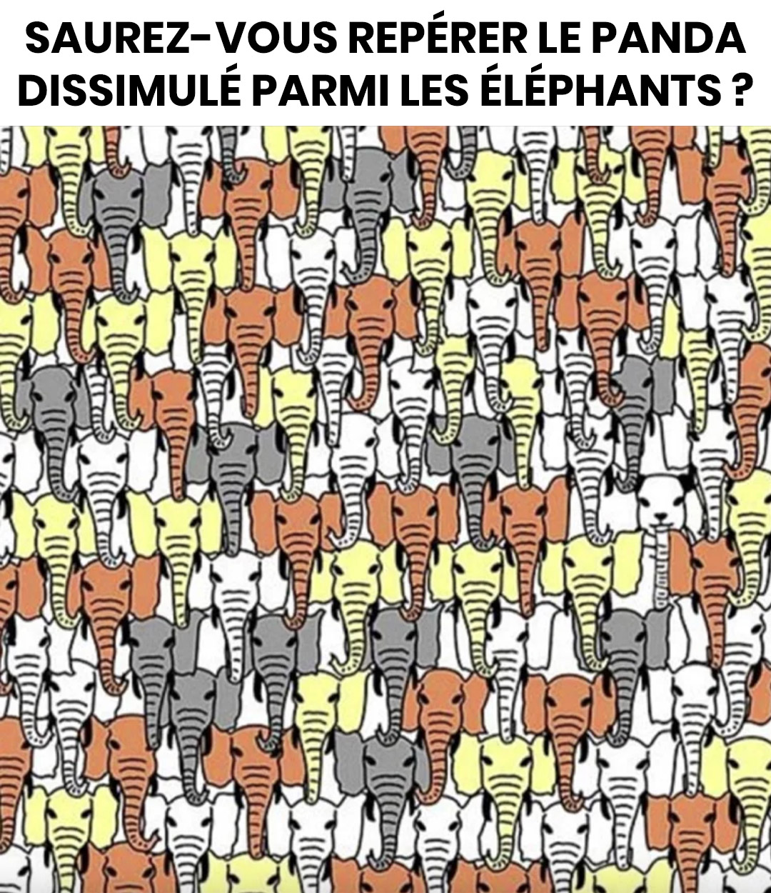 Pouvez-vous repérer le panda caché parmi les éléphants ? Essayez ce casse-tête viral !
