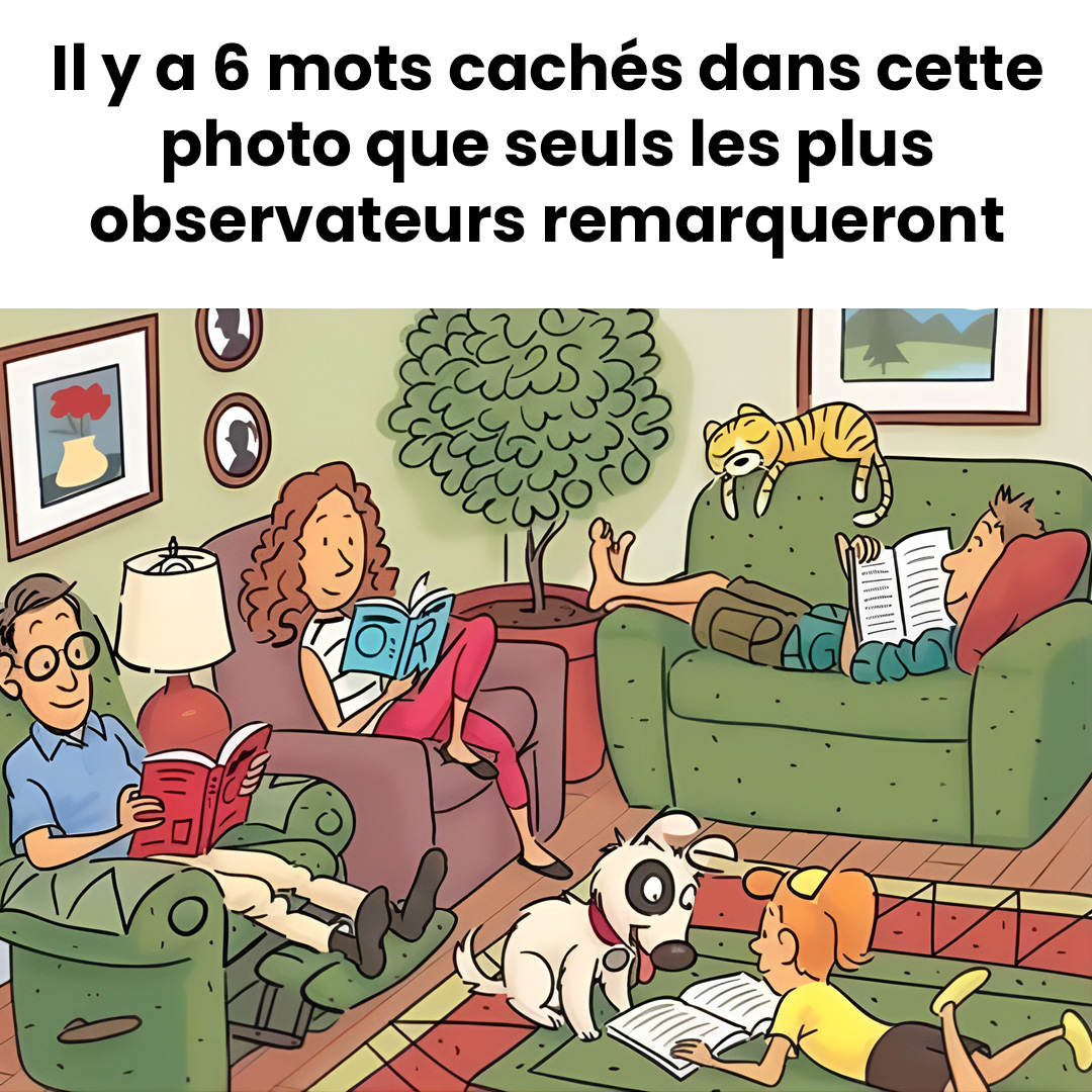 Pouvez-vous repérer les 6 mots cachés dans cette image ?