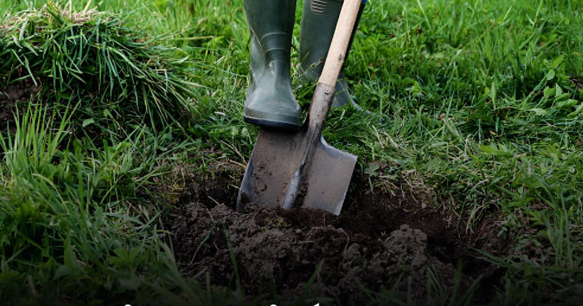 Puis-je enterrer mon animal de compagnie dans mon jardin ?