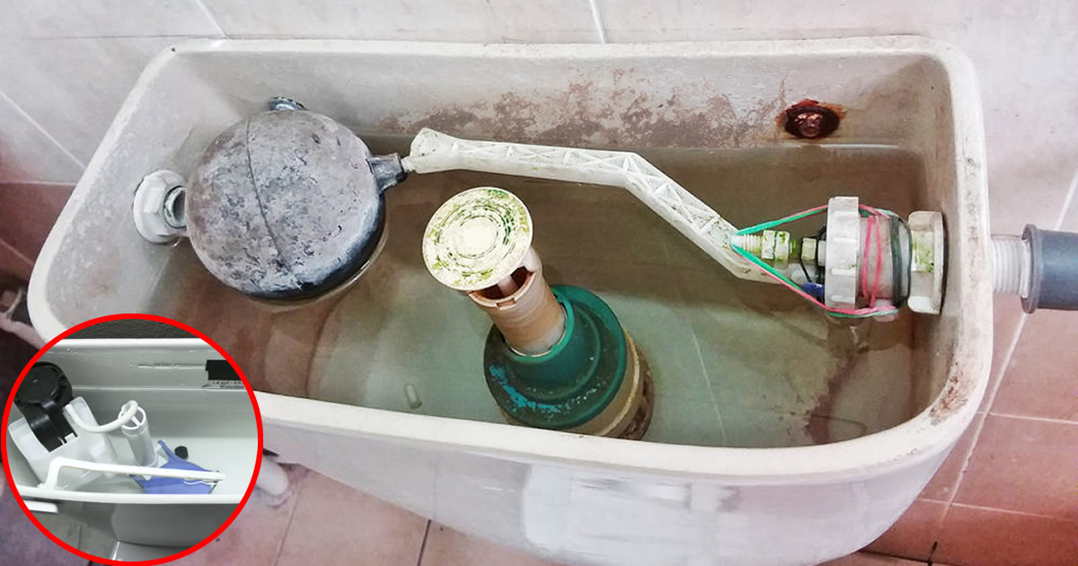 L’entretien secret de vos toilettes : comment redonner vie au réservoir en un geste simple