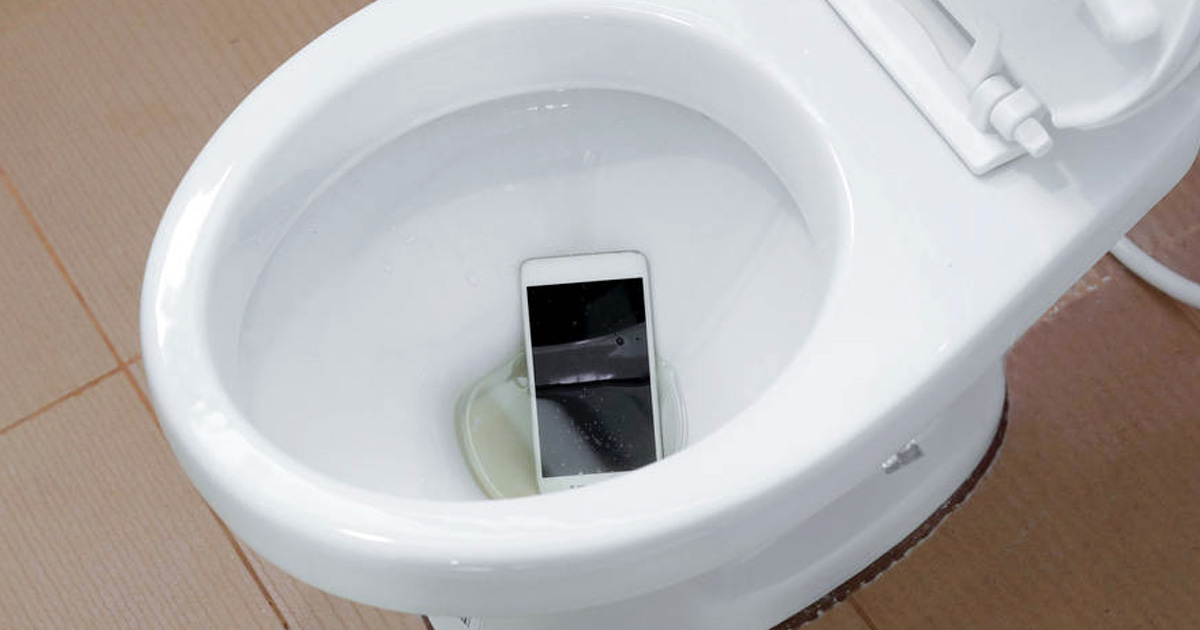 What to do when a cell phone falls into water?