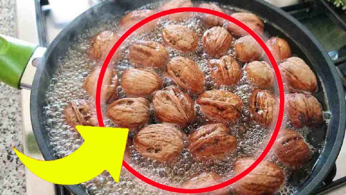 Noix trop amères ? Le bain bouillant qui sublime leur goût en 5 minutes