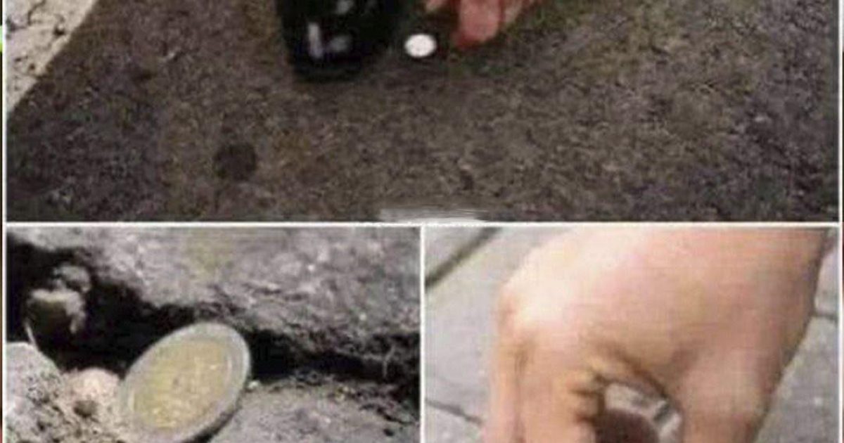Que signifie le fait de trouver une pièce de monnaie dans la rue ? Bien plus qu’une simple coïncidence