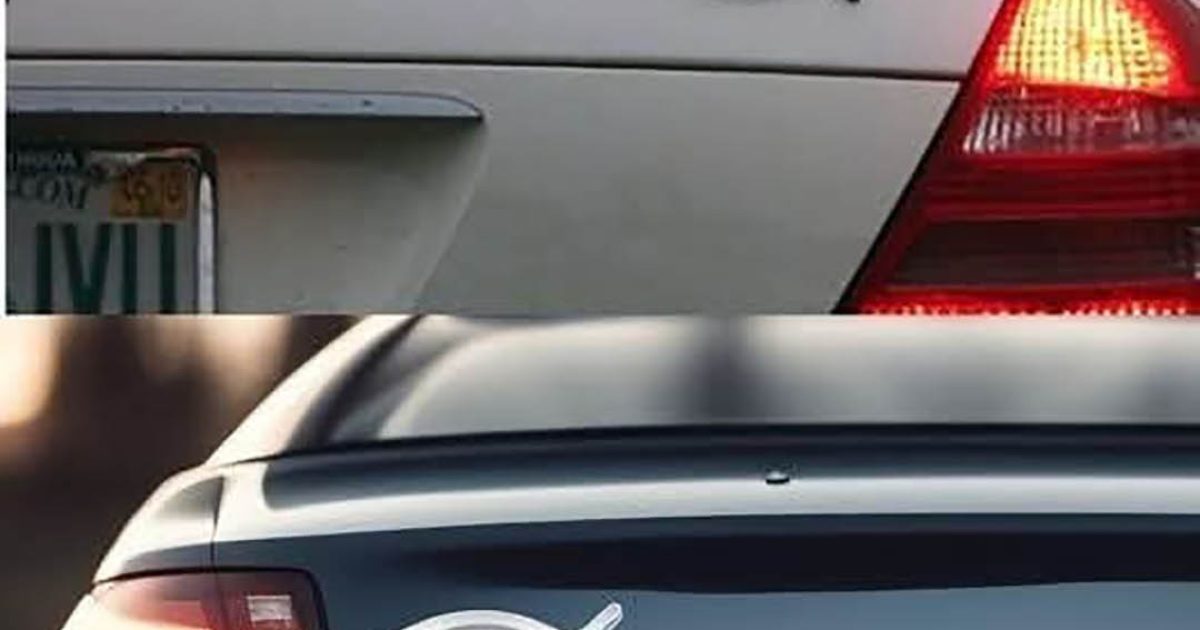 Que signifie un stickers de poisson à l’arrière de la voiture ?