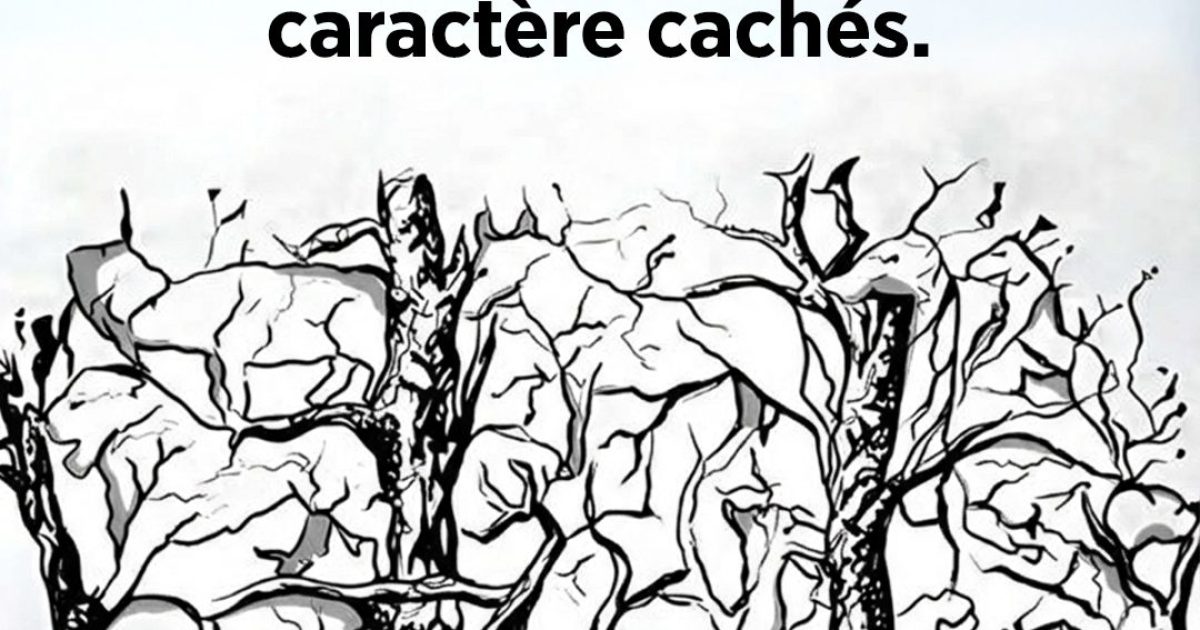 Quel animal attire votre regard en premier ? La réponse révélera des secrets surprenants sur votre personnalité !