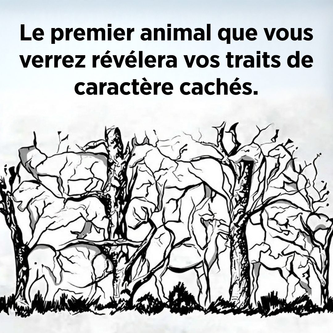 Quel animal attire votre regard en premier ? La réponse révélera des secrets surprenants sur votre personnalité !