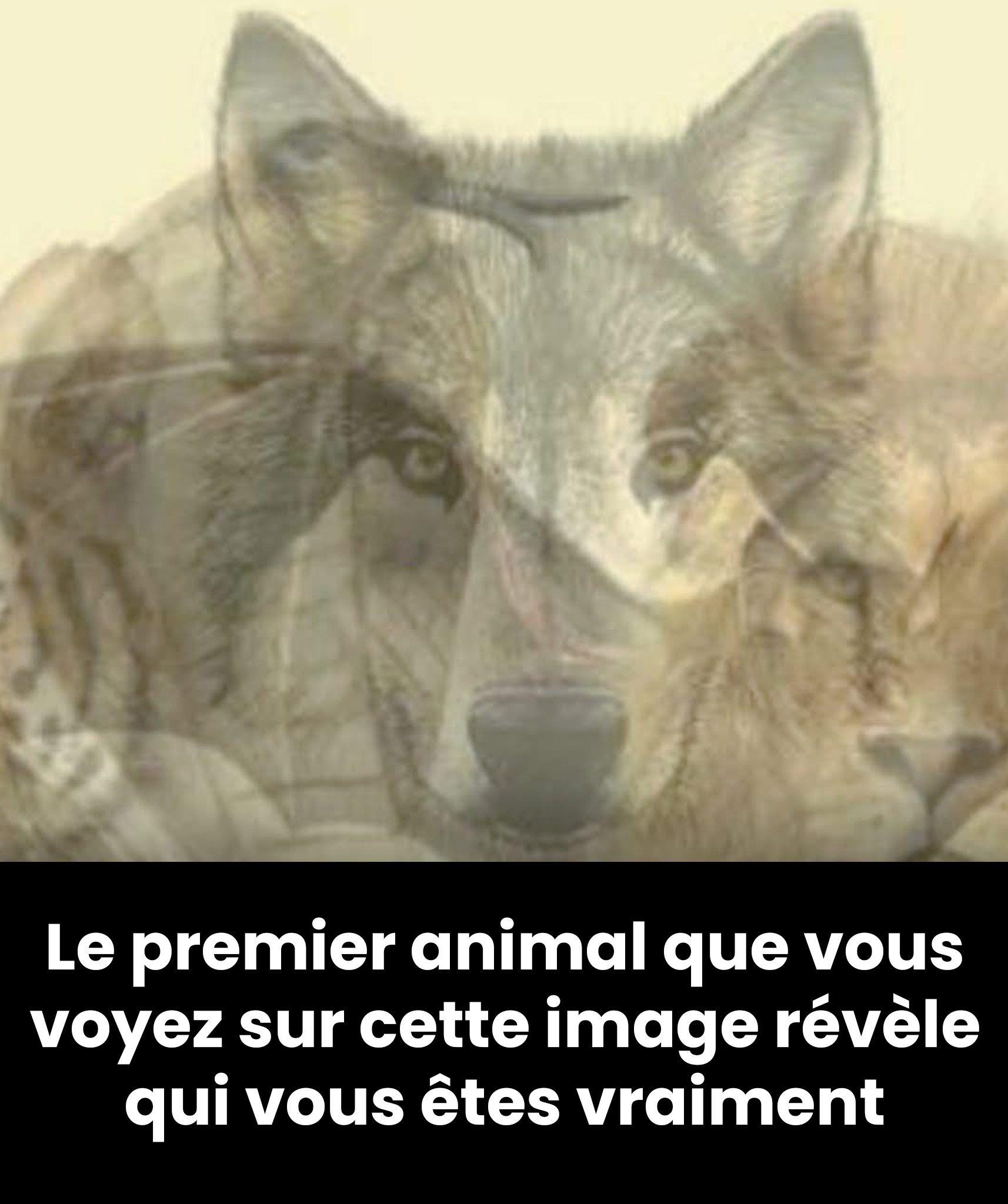 Quel animal avez-vous vu en premier ? Découvrez ce qu’il dit de vous
