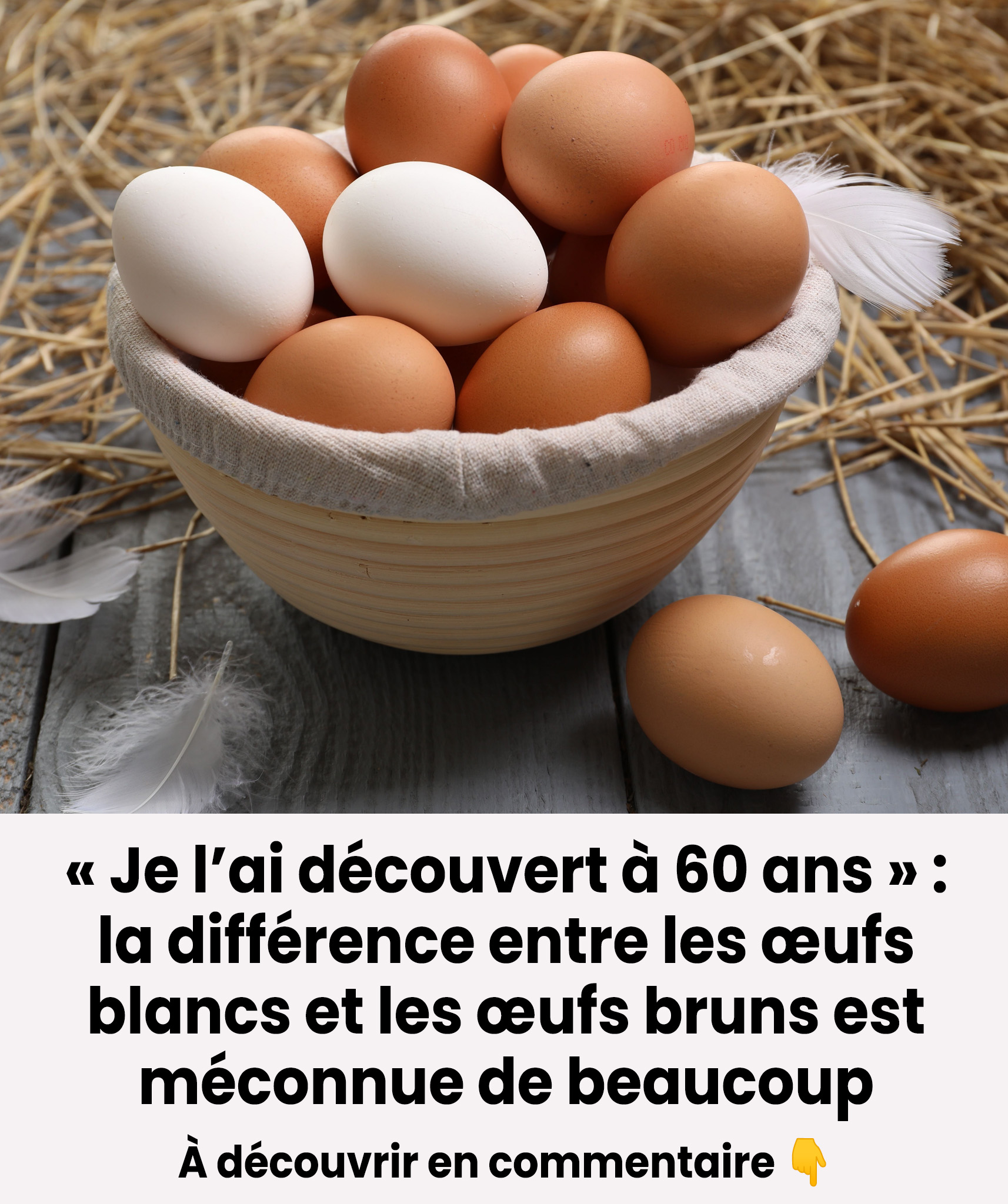 Quelle est la différence entre les œufs blancs et les œufs bruns ?