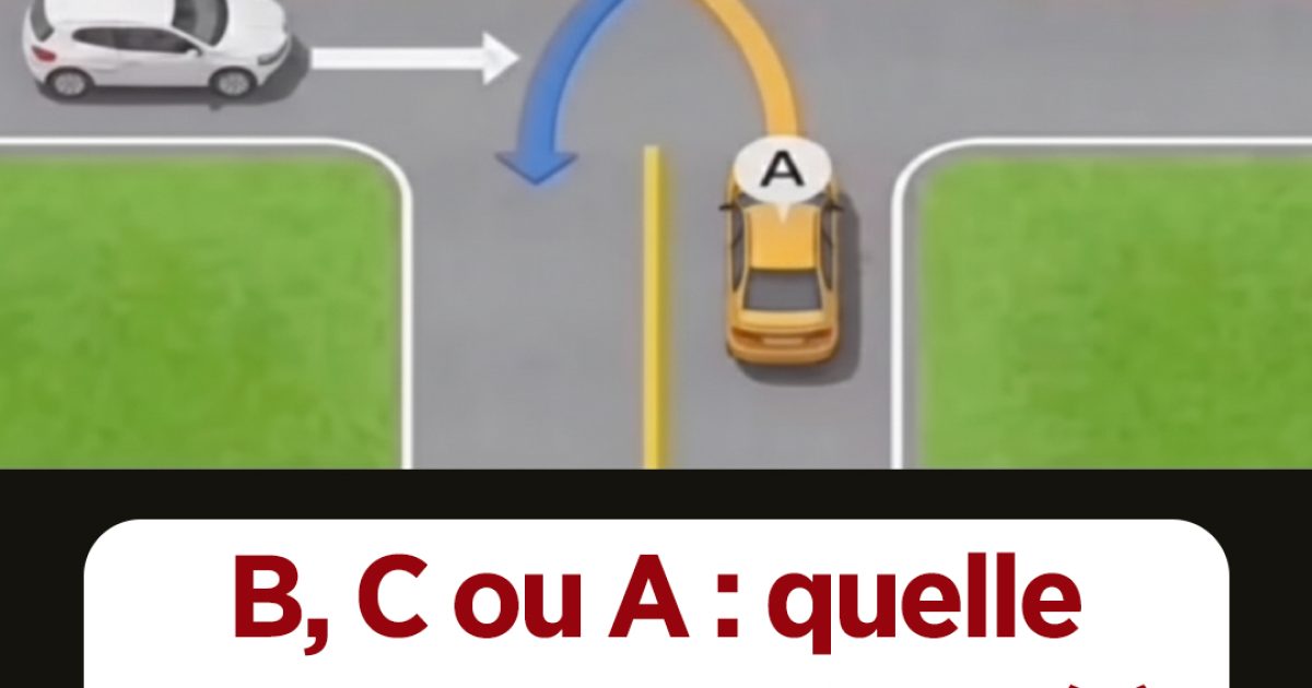 Quelle est la voiture prioritaire dans ce genre d’intersection ?