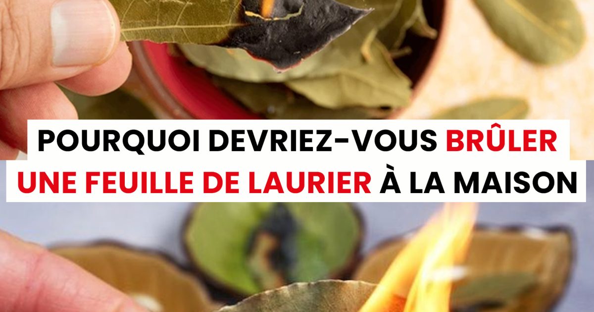 Quels sont les bienfaits de brûler une feuille de laurier chez soi ?