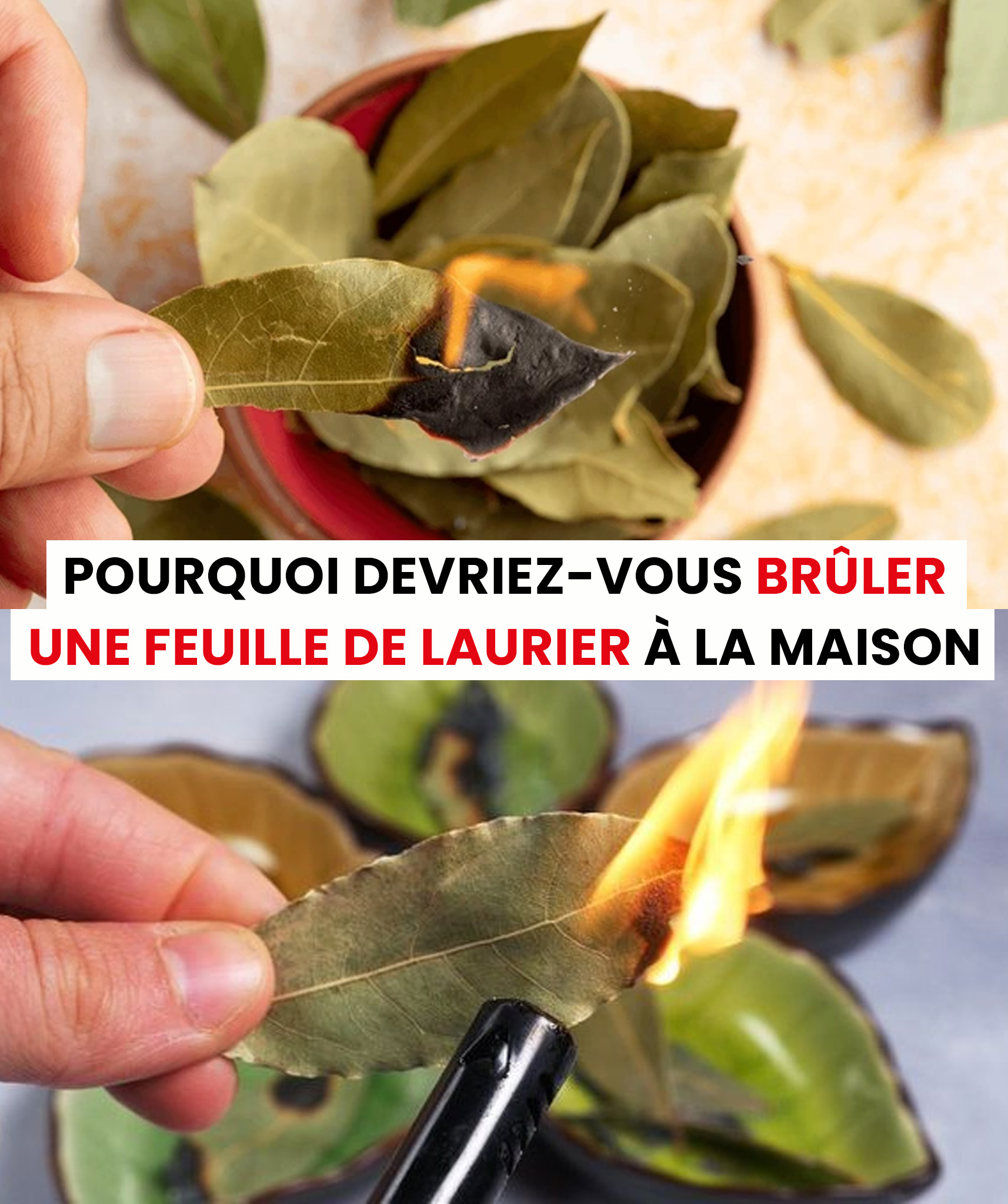 Quels sont les bienfaits de brûler une feuille de laurier chez soi ?
