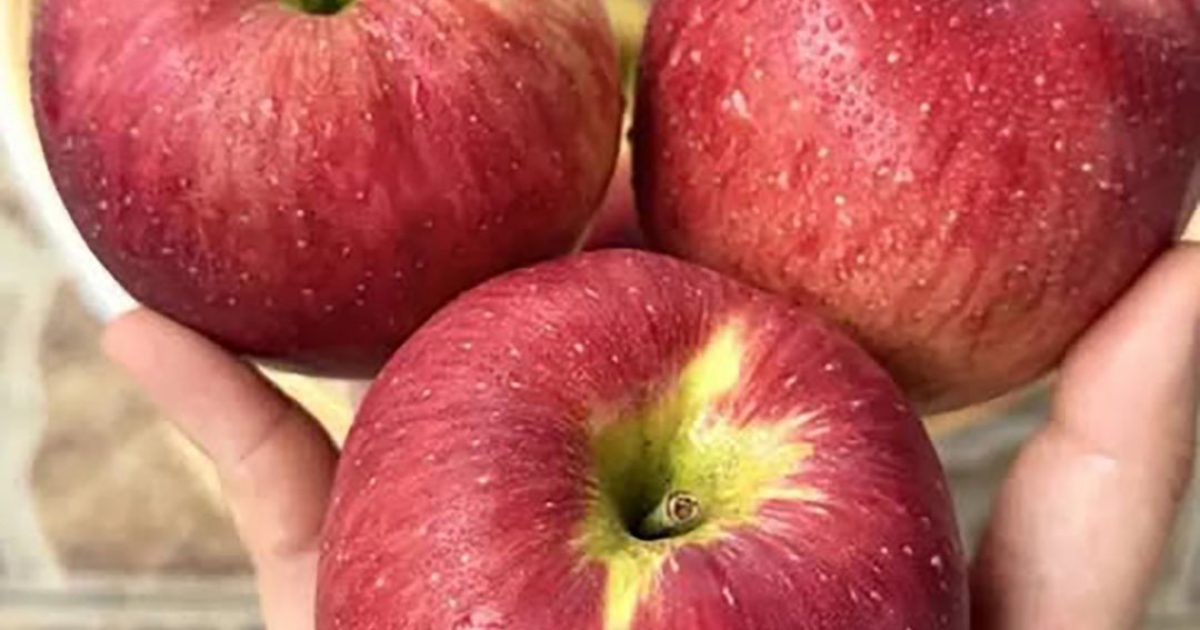 Quels sont les bienfaits des pommes ?