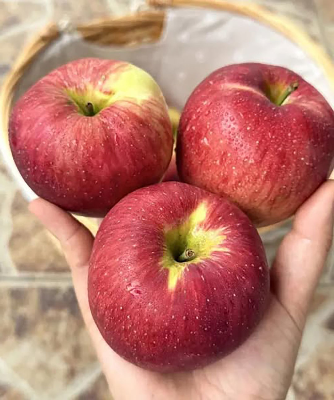 Quels sont les bienfaits des pommes ?