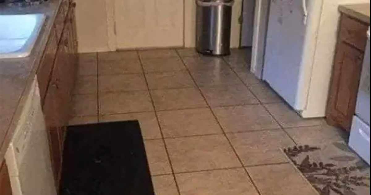 Regardez attentivement : un chien est caché dans cette cuisine