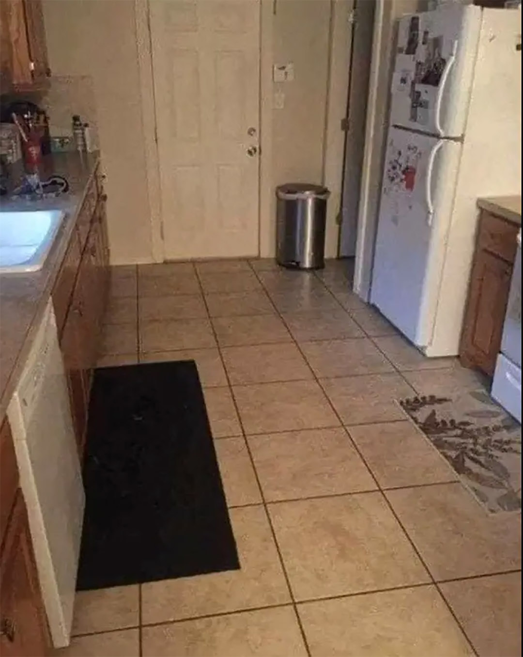 Regardez attentivement : un chien est caché dans cette cuisine