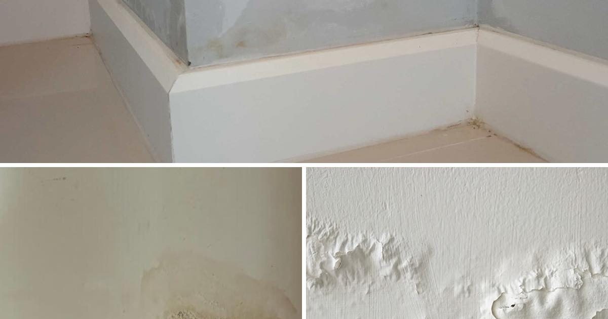 Remontées capillaires : la méthode DIY facile et économique pour réparer les murs une bonne fois pour toutes