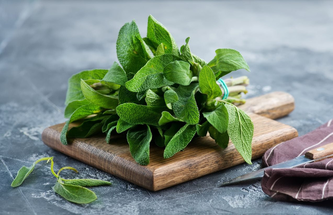 La sauge, cette herbe méconnue qui sublime vos plats et apaise votre quotidien