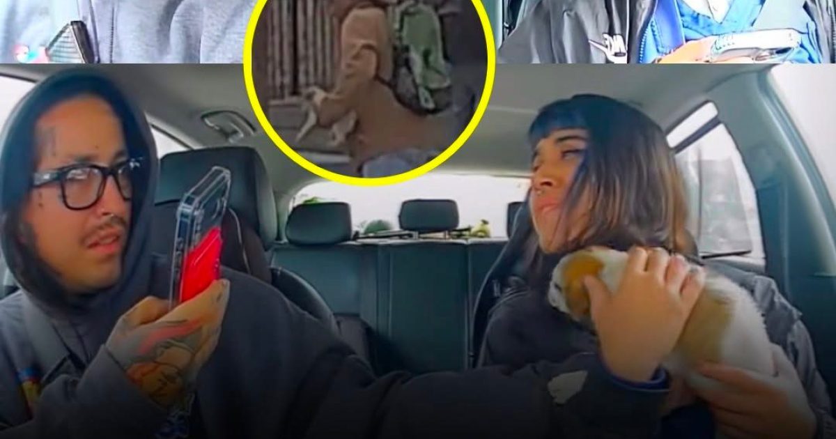 Sans hésiter ! Un couple a vu le moment exact où un homme abandonnait une chienne et, en quelques secondes, ils l’ont adoptée