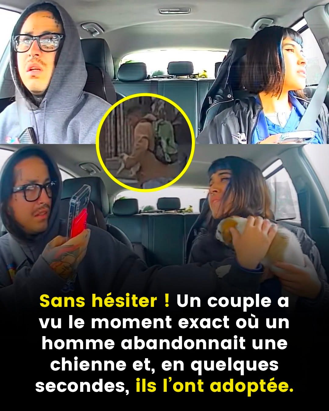 Sans hésiter ! Un couple a vu le moment exact où un homme abandonnait une chienne et, en quelques secondes, ils l’ont adoptée