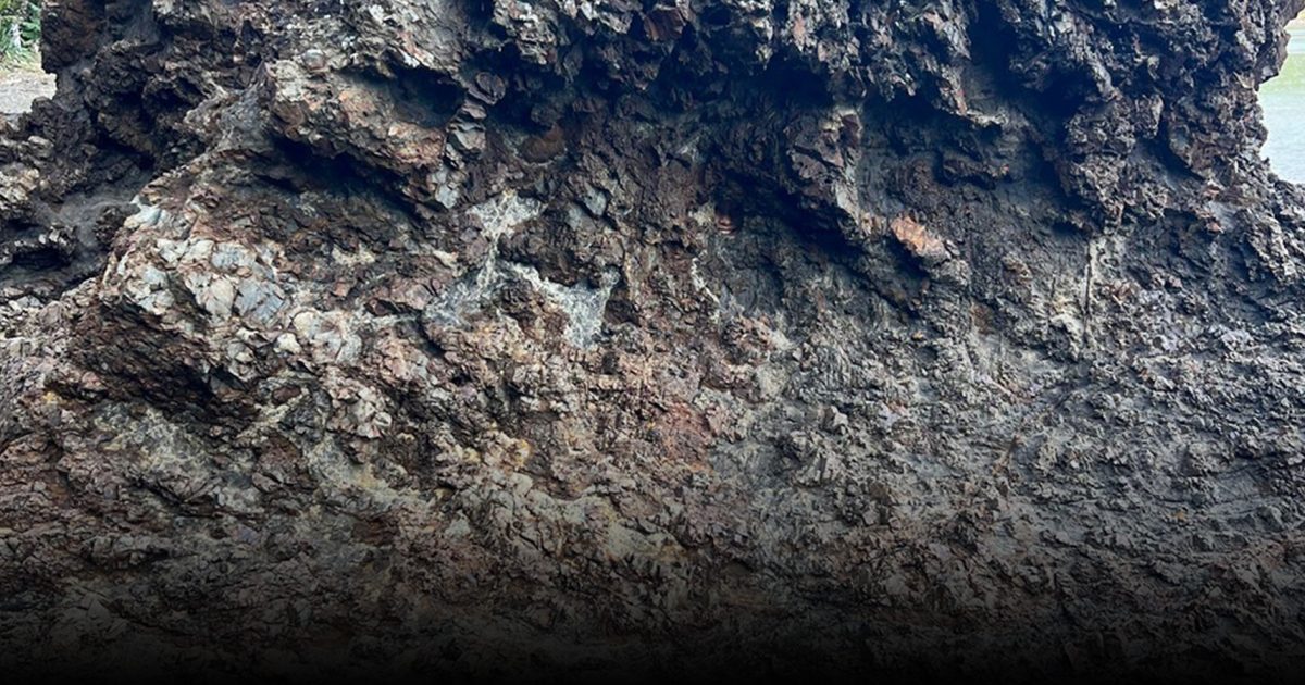 Saurez-vous trouver la fille ?