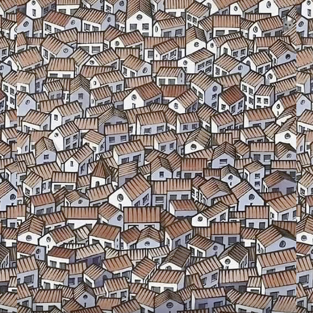 Saurez-vous trouver le chat caché parmi les maisons ?
