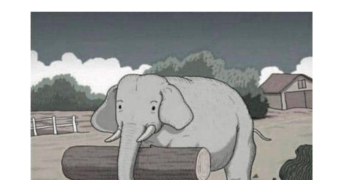 Saurez-vous trouver le cheval caché ? Relevez ce défi extrême en 7 secondes