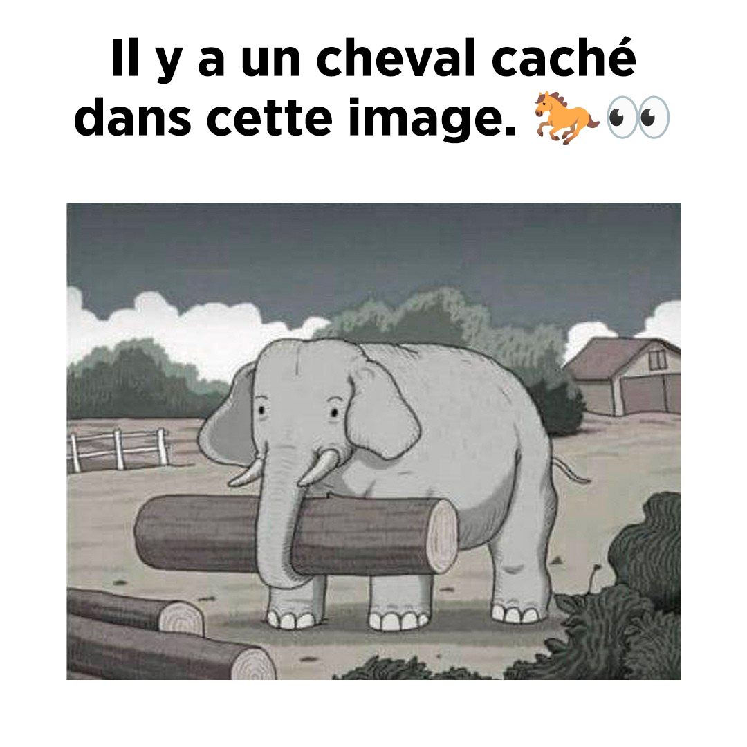 Saurez-vous trouver le cheval caché ? Relevez ce défi extrême en 7 secondes