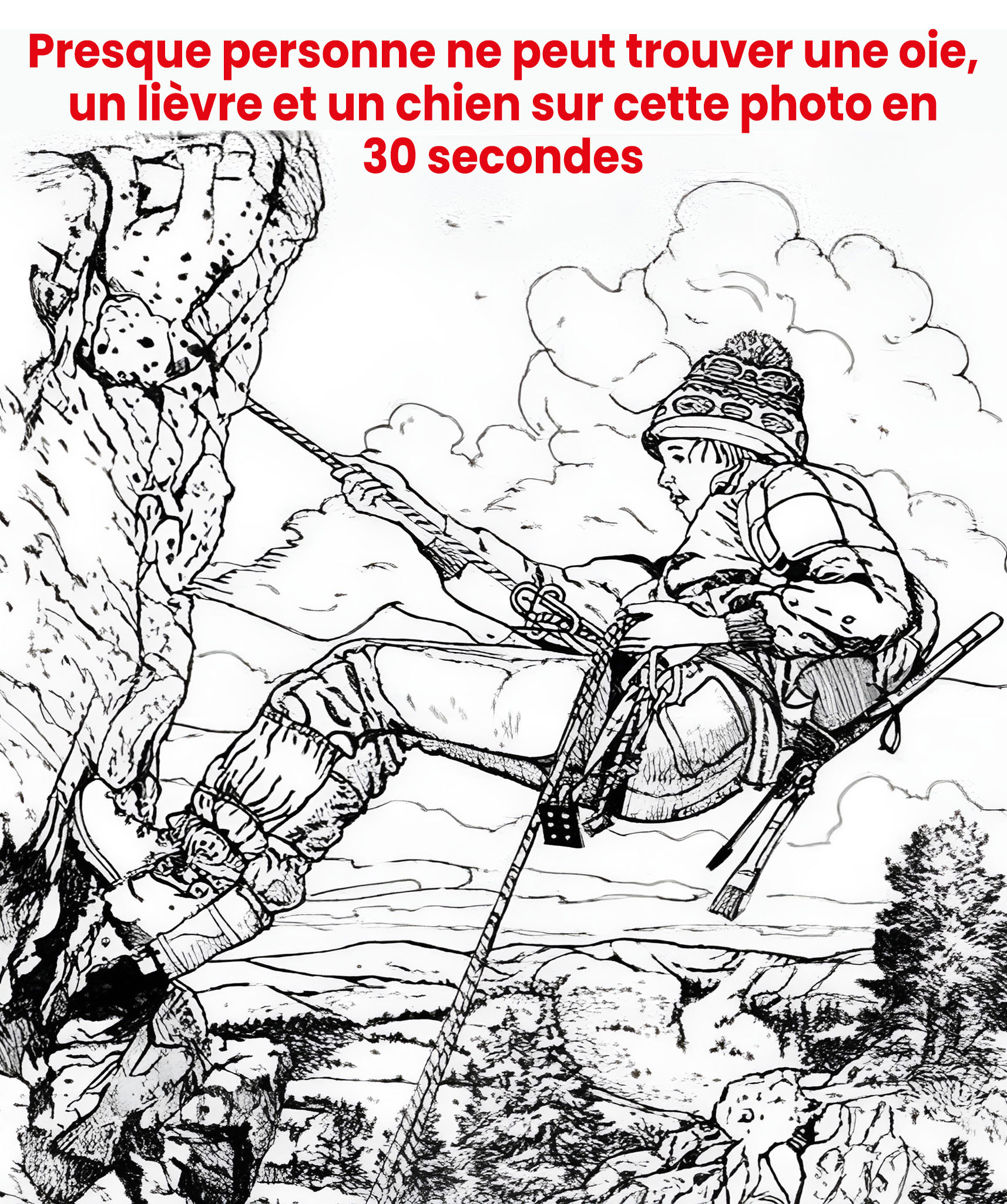 Saurez-vous trouver l’oie, le lièvre et le chien ?