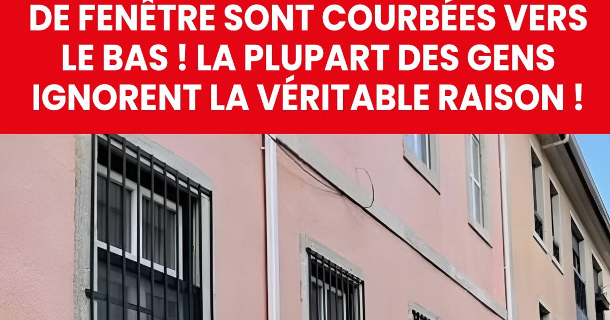 Savez-vous à quoi servent vraiment les barreaux de fenêtre ?