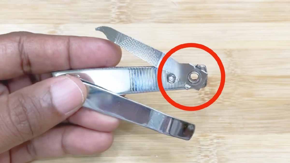 Le détail insoupçonné du coupe-ongles que personne ne remarque (et qui change tout)