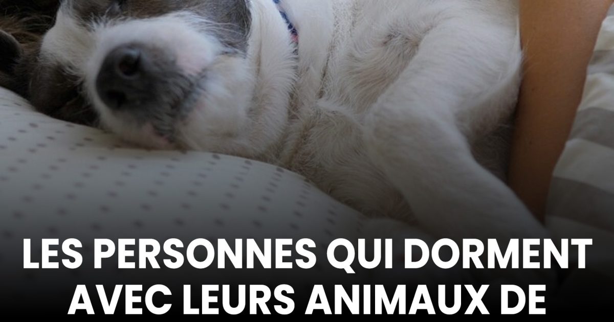 Selon les psychologues, les personnes qui dorment avec leurs animaux ont 7 traits communs