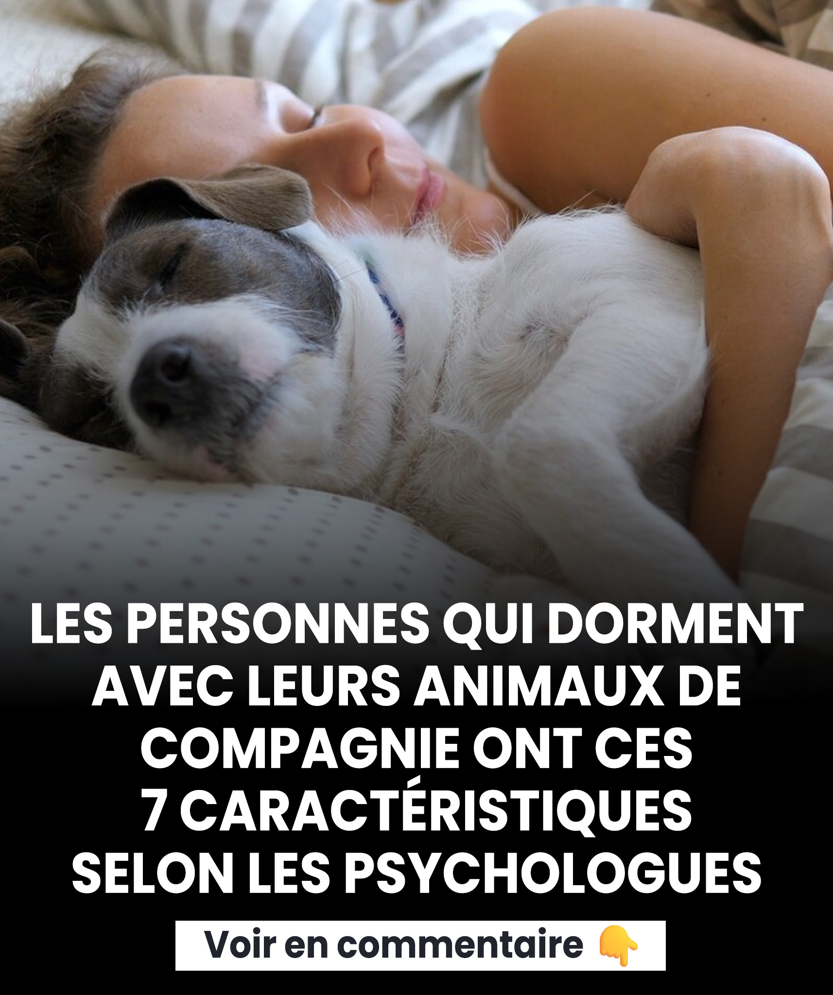 Selon les psychologues, les personnes qui dorment avec leurs animaux ont 7 traits communs