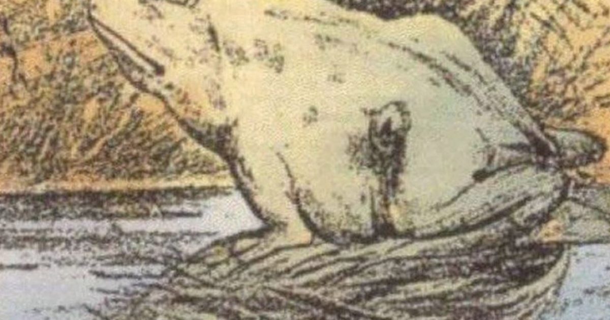 Seules certaines personnes peuvent voir le cheval sur cette photo – faites-vous partie de ces quelques privilégiés ?