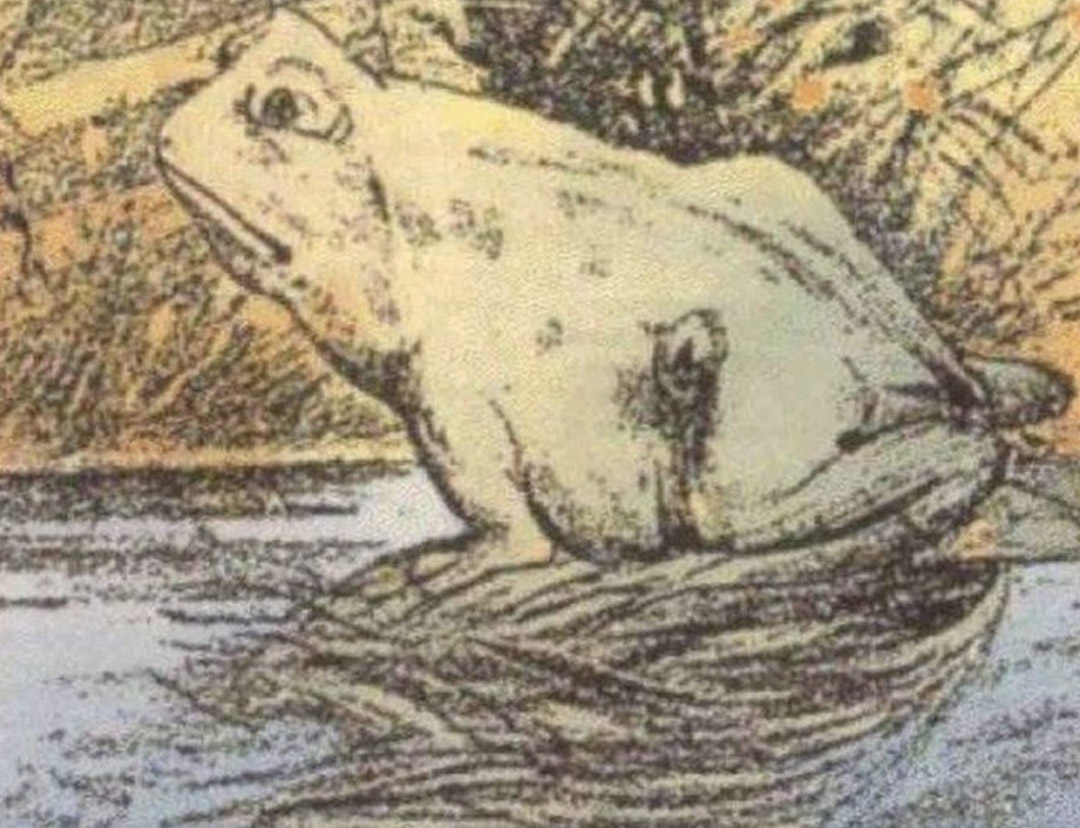 Seules certaines personnes peuvent voir le cheval sur cette photo – faites-vous partie de ces quelques privilégiés ?