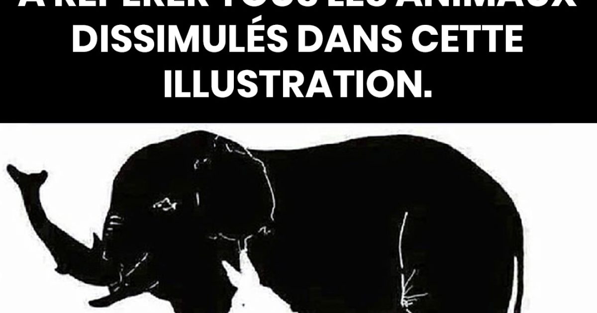 Seules les personnes avec un QI élevé parviennent à repérer plus de 6 animaux. Et vous, combien en voyez-vous ?