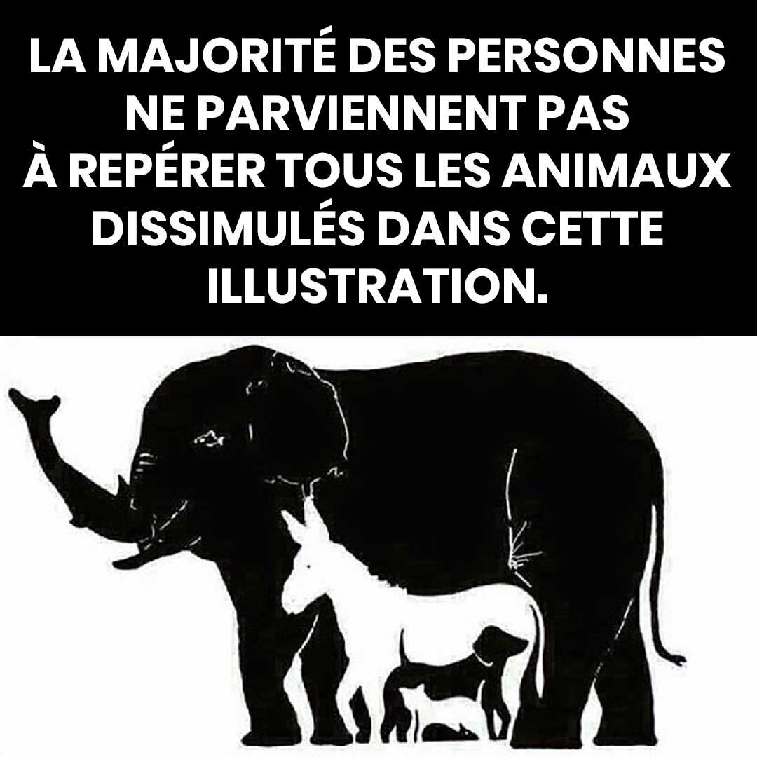 Seules les personnes avec un QI élevé parviennent à repérer plus de 6 animaux. Et vous, combien en voyez-vous ?