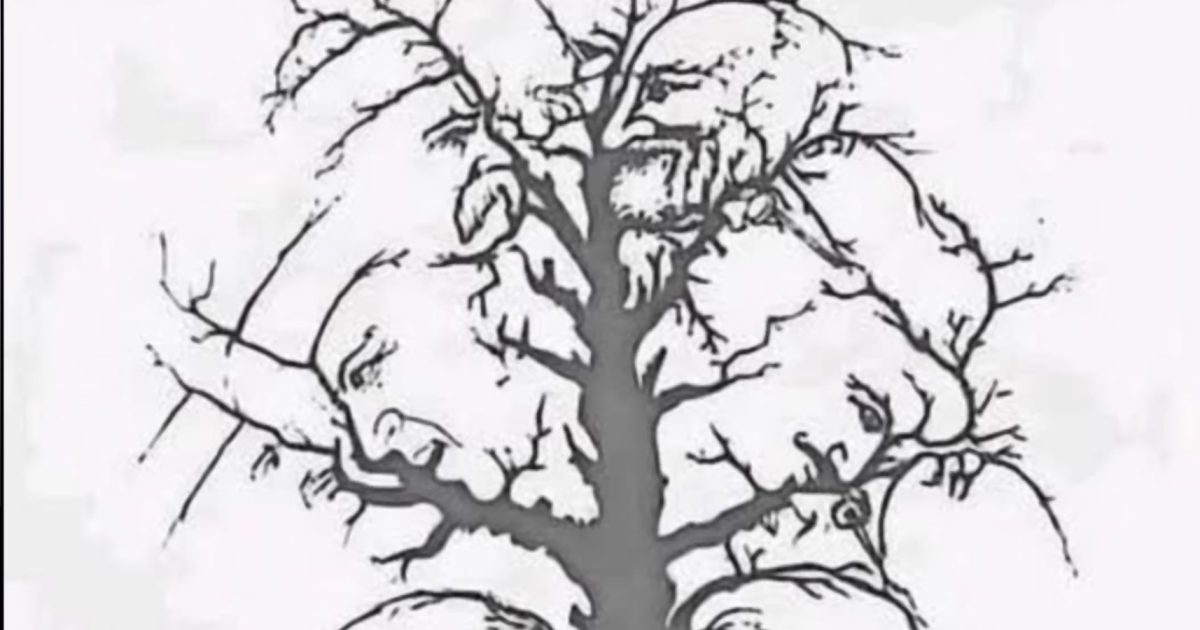 Seules quelques personnes parviennent à repérer tous les visages cachés dans cet arbre — en faites-vous partie ?